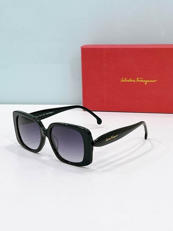 Ferragamo Glasses sms (33)