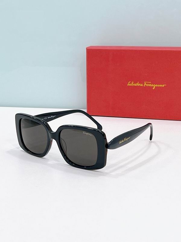 Ferragamo Glasses sms (34)