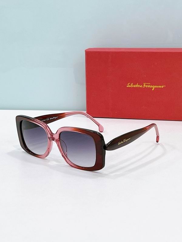 Ferragamo Glasses sms (36)