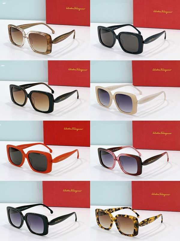 Ferragamo Glasses sms (38)