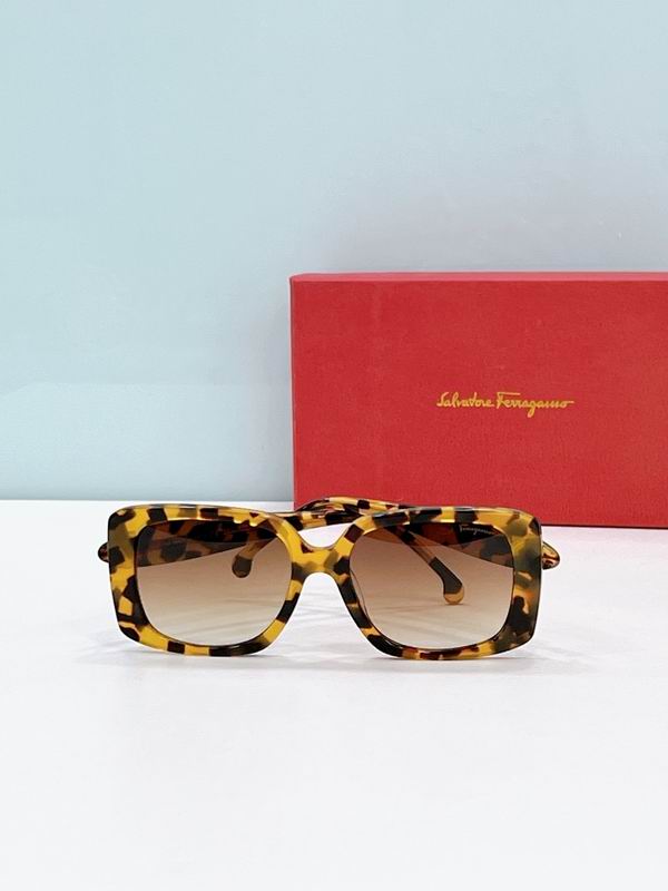 Ferragamo Glasses sms (40)