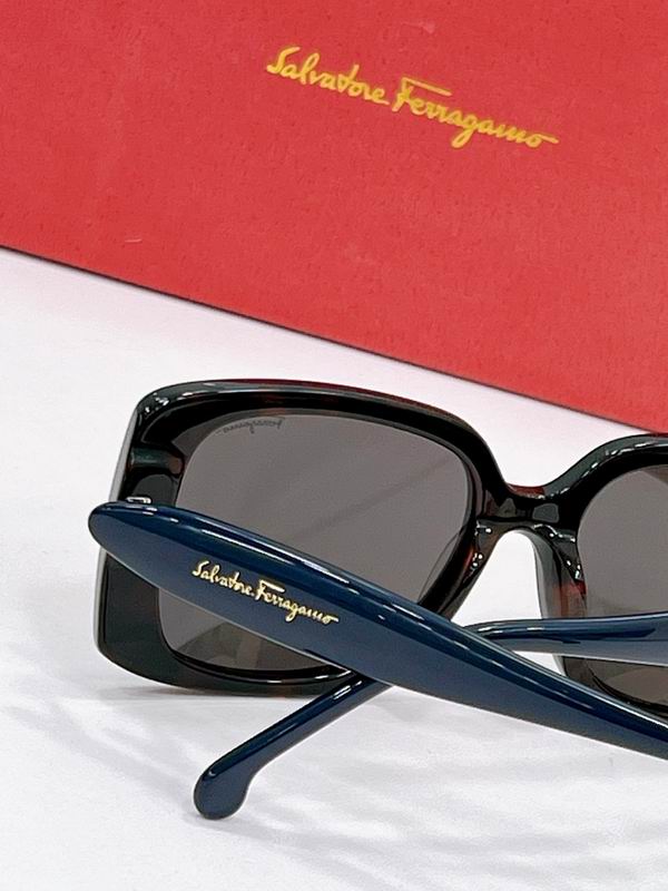 Ferragamo Glasses sms (41)