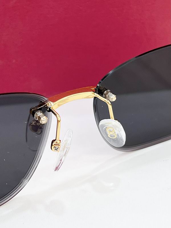 Ferragamo Glasses sms (50)