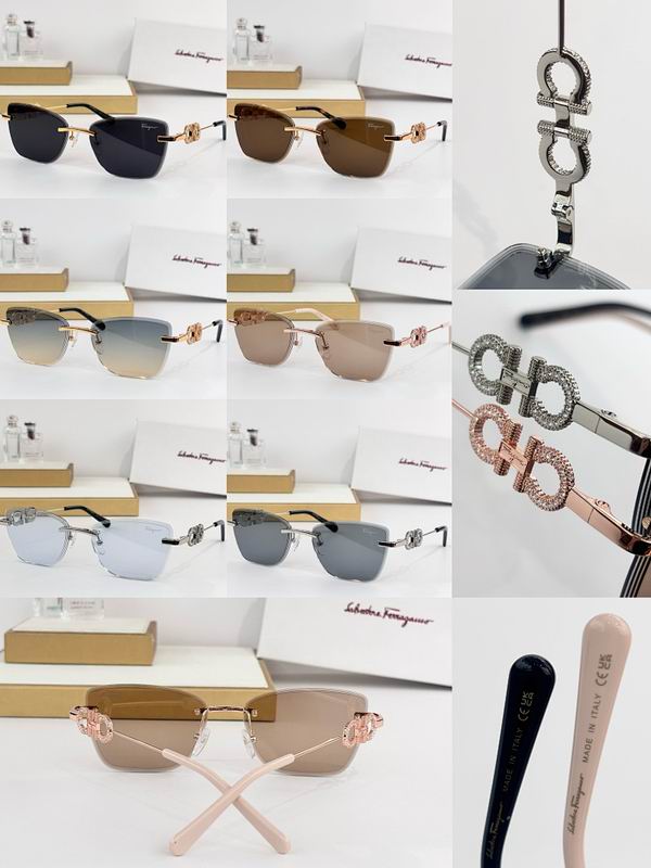 Ferragamo Glasses sms (53)
