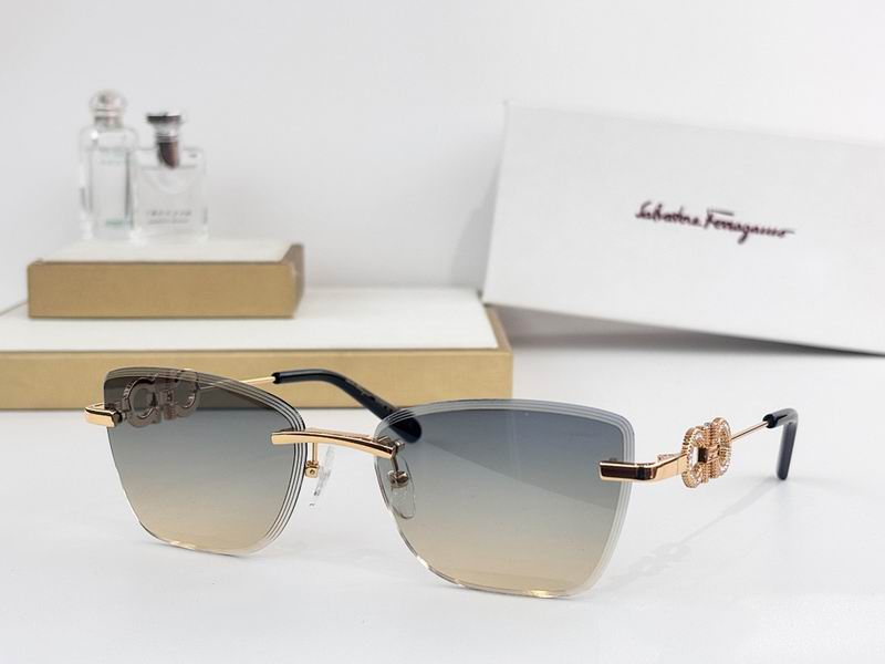 Ferragamo Glasses sms (56)