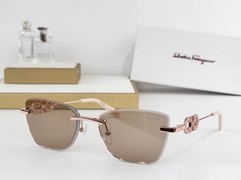 Ferragamo Glasses sms (59)