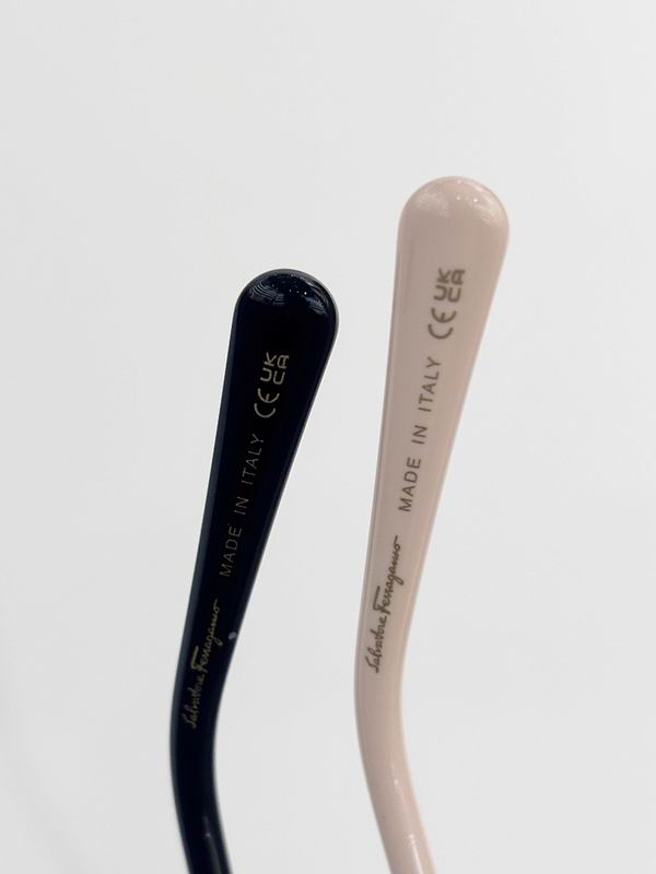 Ferragamo Glasses sms (61)