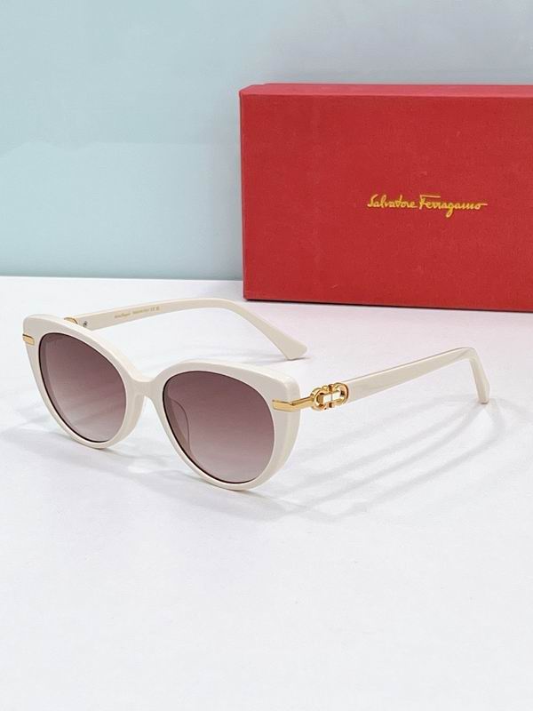 Ferragamo Glasses sms (63)