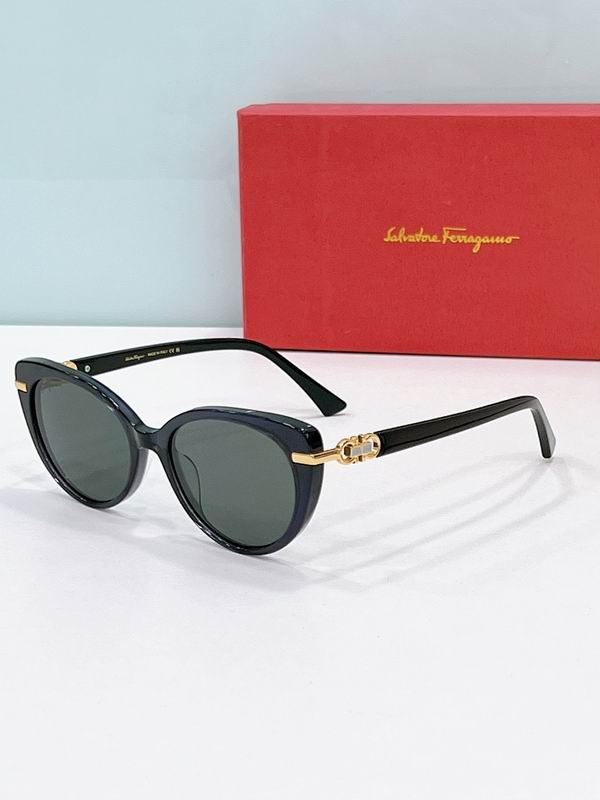 Ferragamo Glasses sms (66)