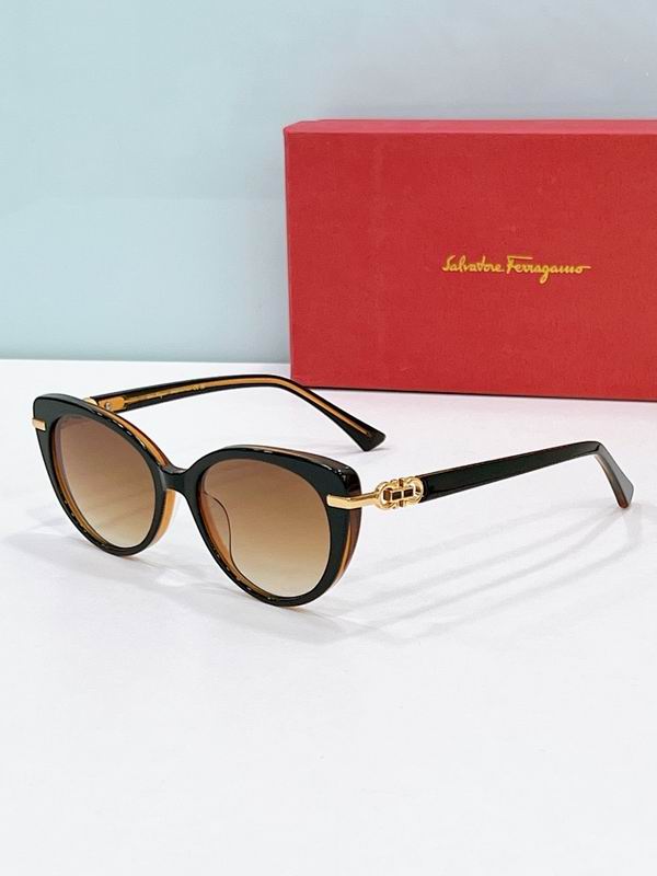 Ferragamo Glasses sms (68)