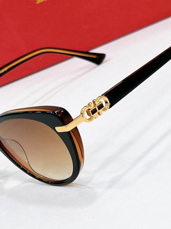 Ferragamo Glasses sms (69)