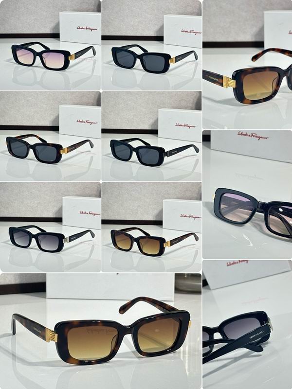 Ferragamo Glasses sms (79)