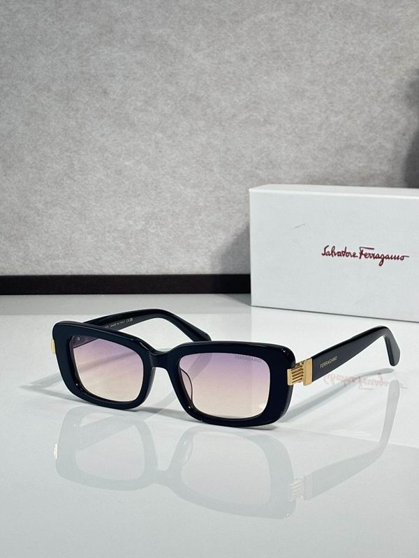 Ferragamo Glasses sms (80)