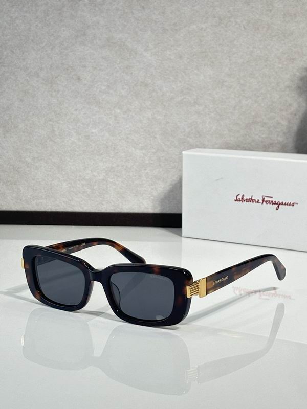 Ferragamo Glasses sms (82)