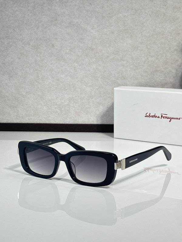 Ferragamo Glasses sms (84)