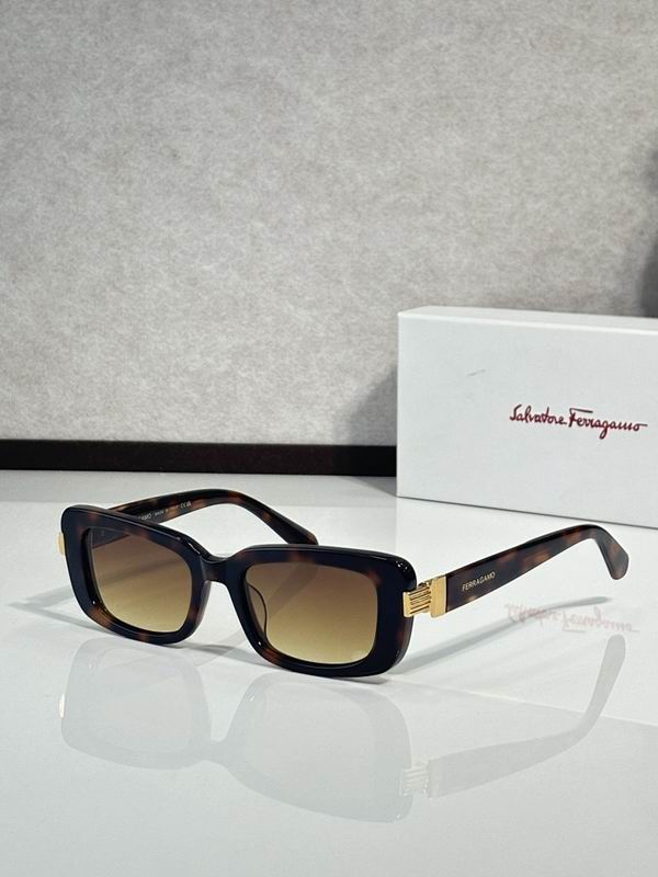 Ferragamo Glasses sms (85)