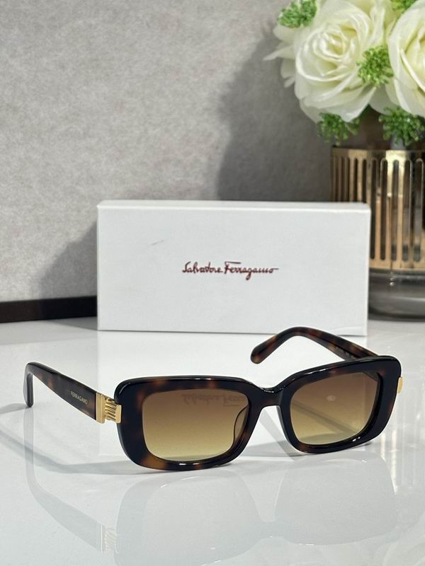 Ferragamo Glasses sms (86)