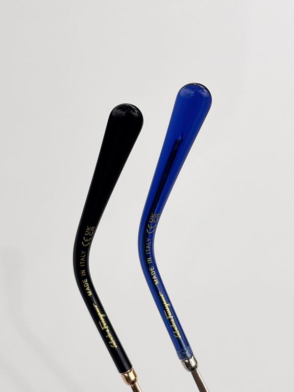 Ferragamo Glasses sms (96)