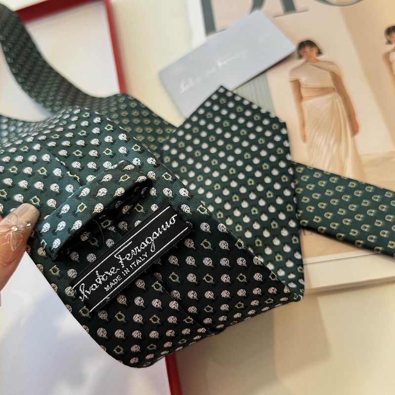 Ferragamo Tie hm (1)