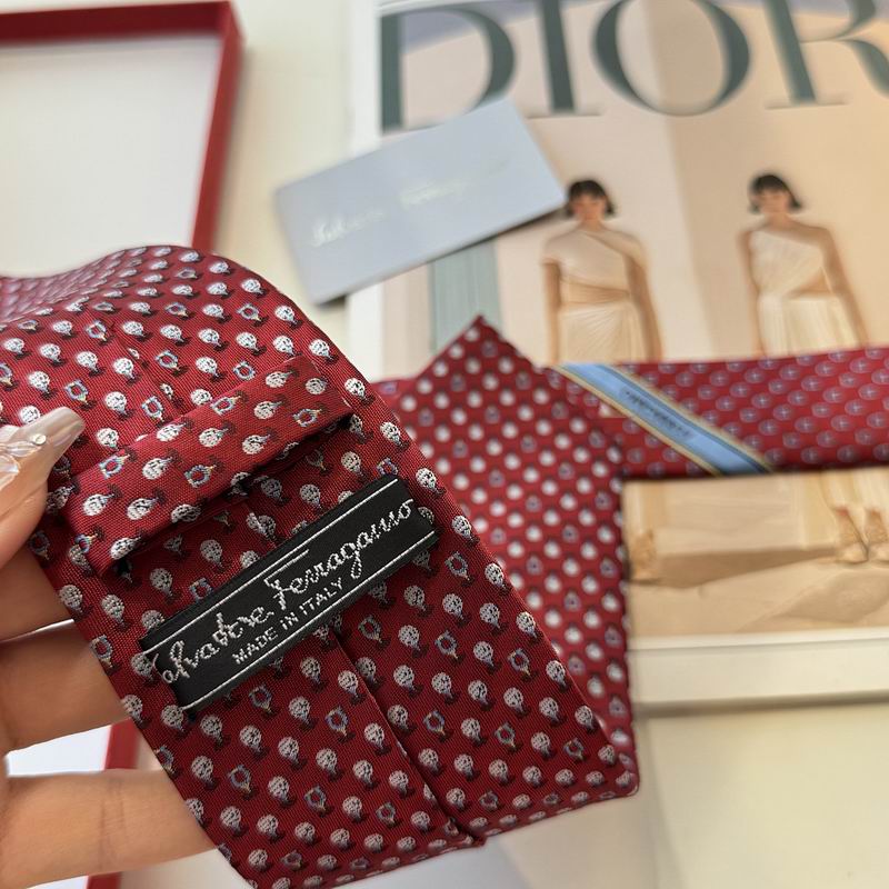 Ferragamo Tie hm (11)