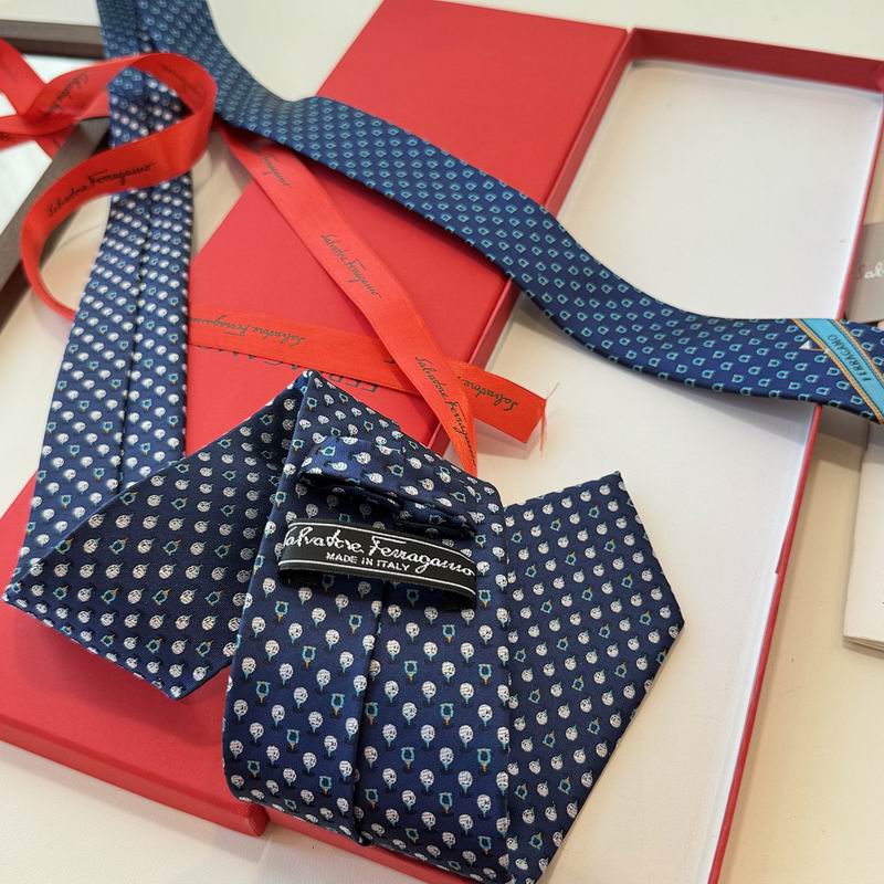 Ferragamo Tie hm (17)