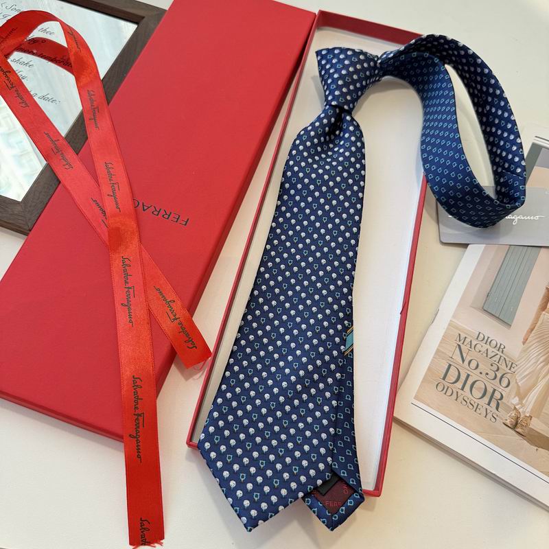 Ferragamo Tie hm (18)