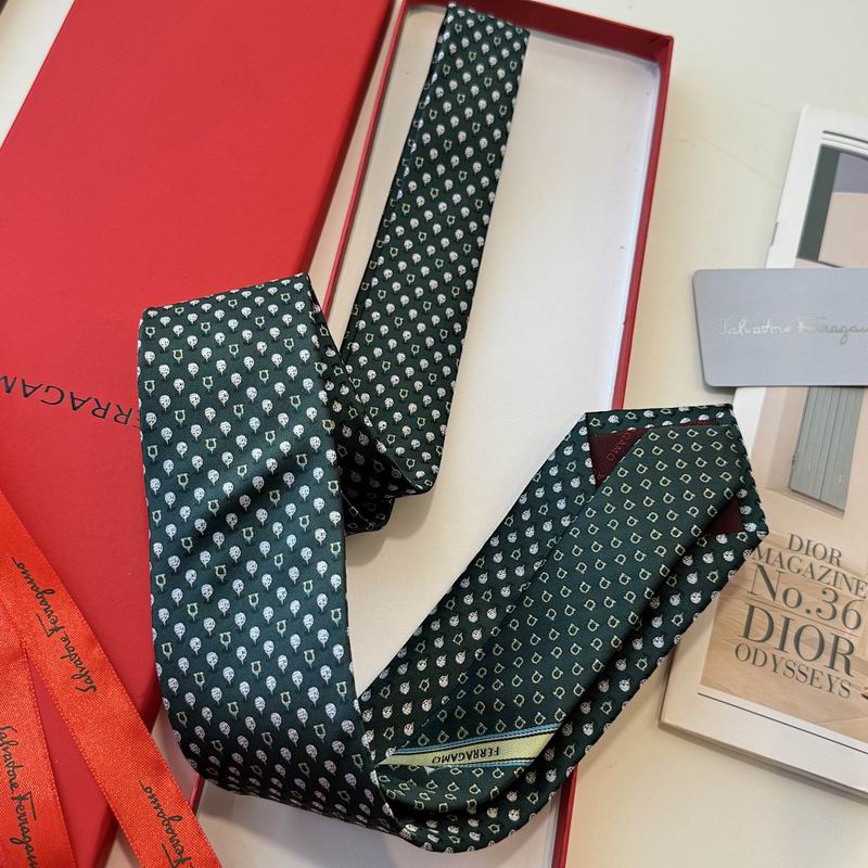 Ferragamo Tie hm (2)