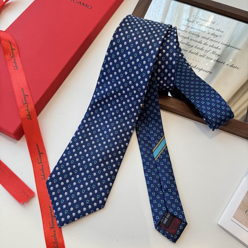 Ferragamo Tie hm (21)