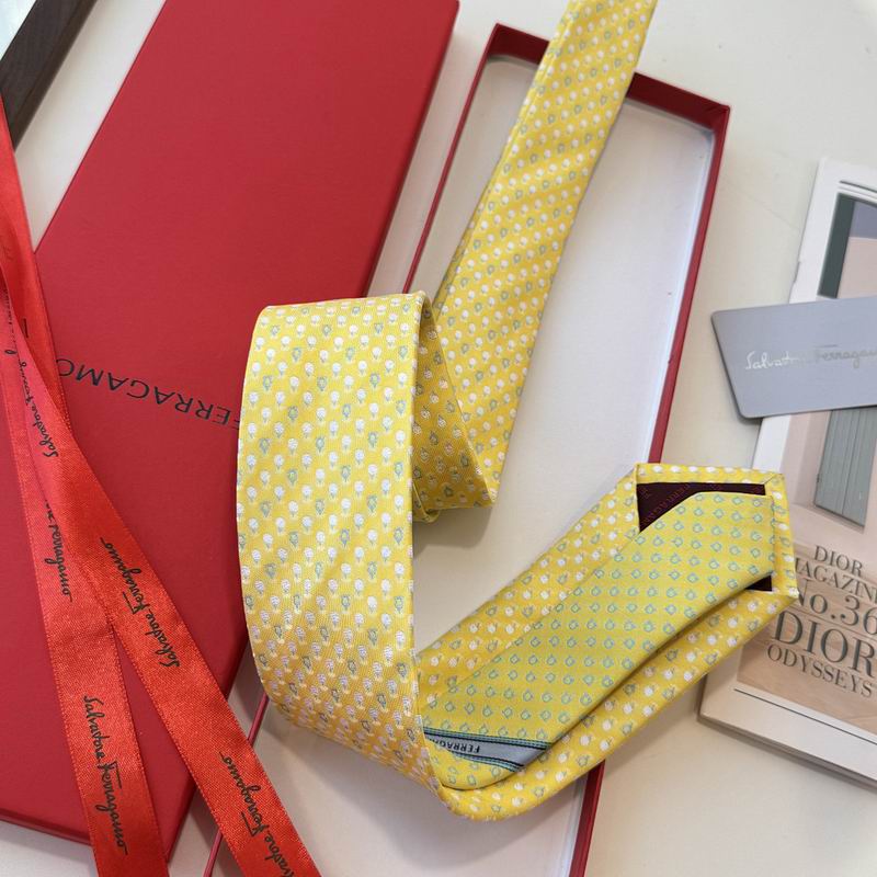 Ferragamo Tie hm (24)