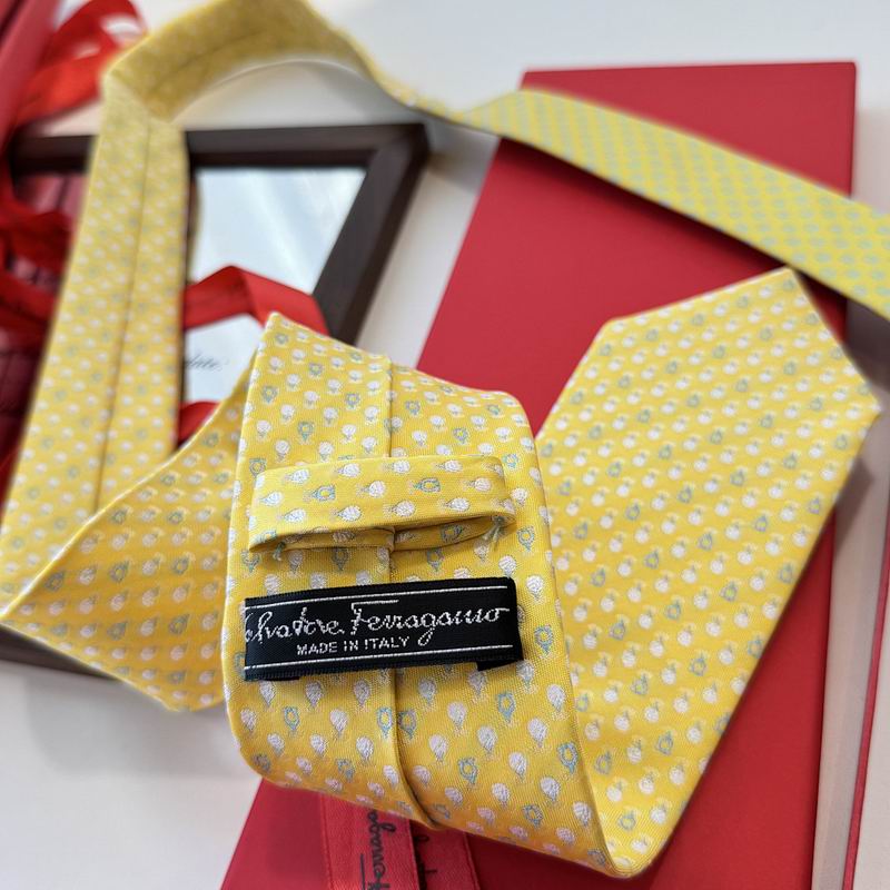 Ferragamo Tie hm (25)