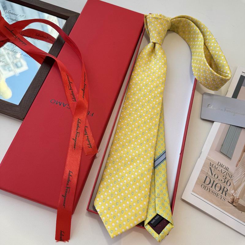 Ferragamo Tie hm (26)