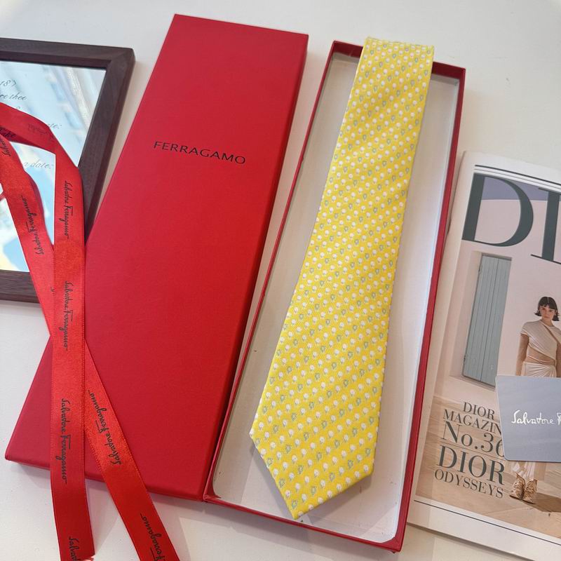 Ferragamo Tie hm (31)