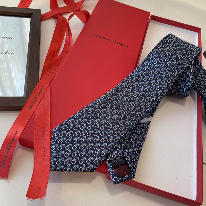 Ferragamo Tie hm (46)