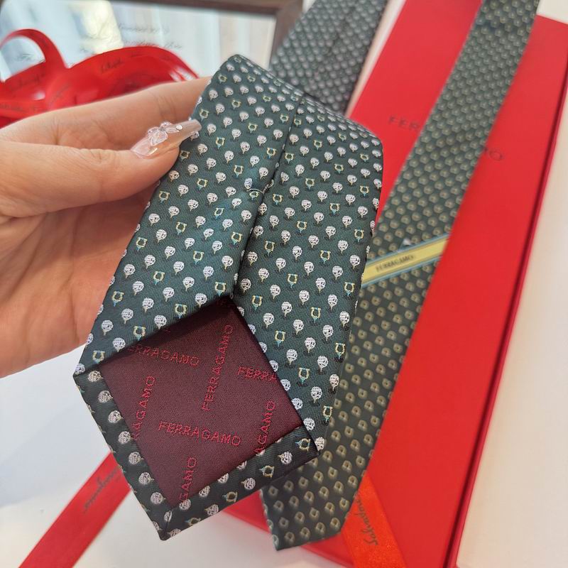 Ferragamo Tie hm (6)
