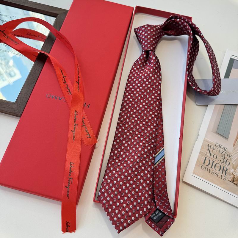 Ferragamo Tie hm (9)