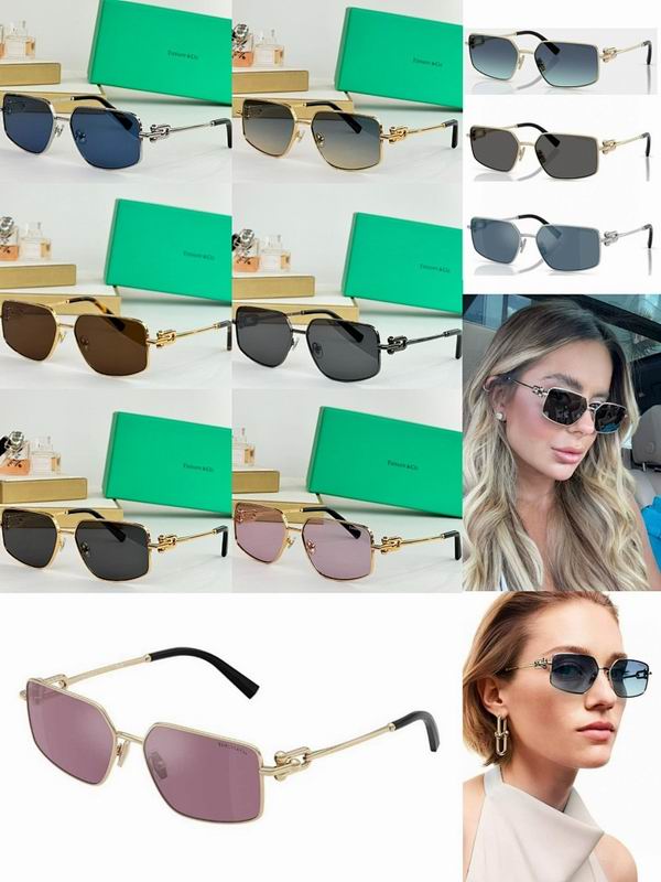 Gottega Veneta Glasses sms (1130)