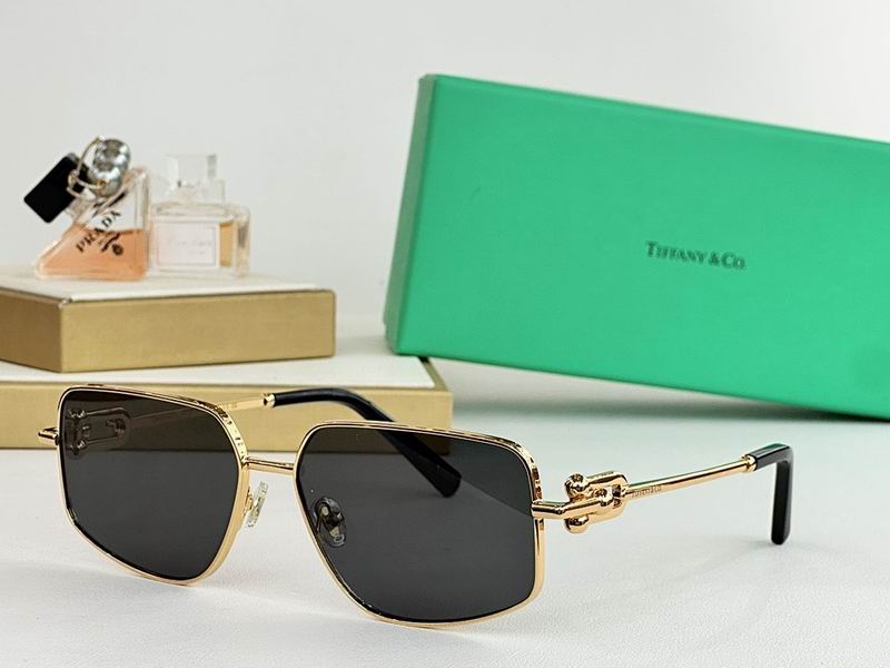 Gottega Veneta Glasses sms (1131)