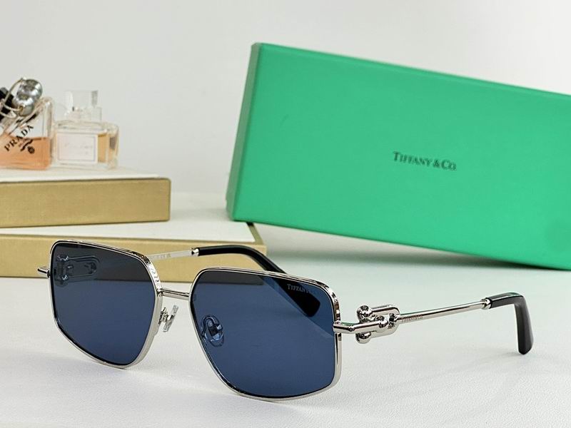 Gottega Veneta Glasses sms (1133)