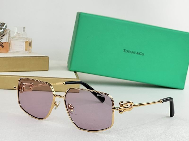 Gottega Veneta Glasses sms (1134)