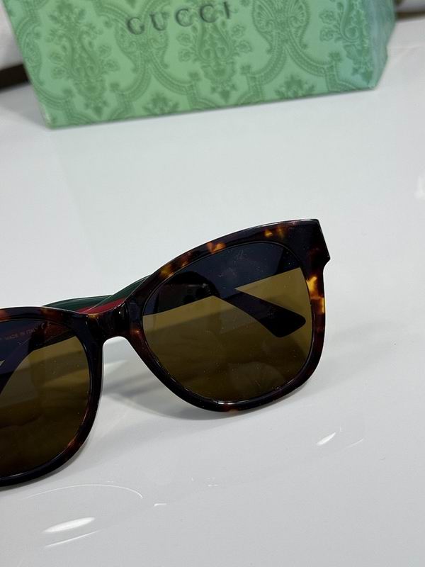 Gucci Glasses smr (895)