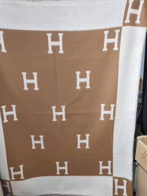 Hermes Blanket   (2)