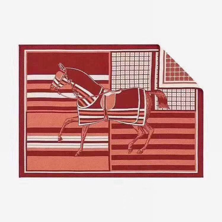 Hermes Blanket   (2)