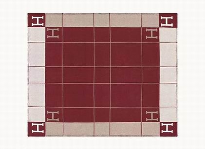 Hermes Blanket   (3)