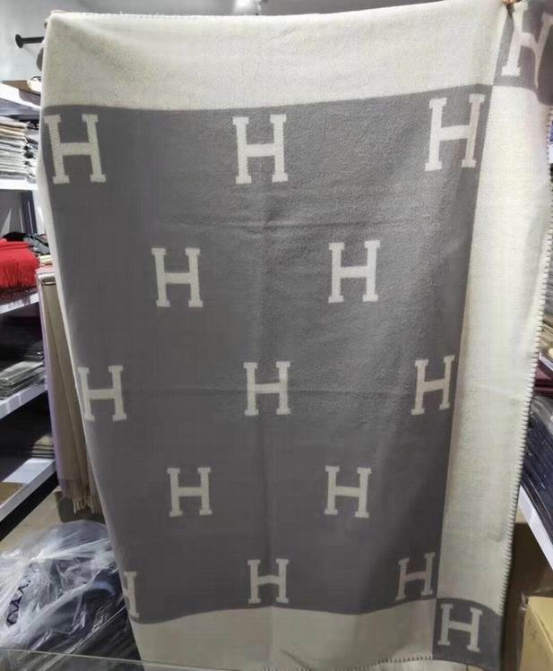 Hermes Blanket   (3)