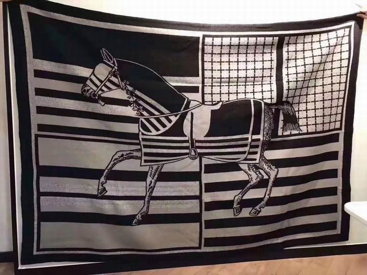 Hermes Blanket   (3)