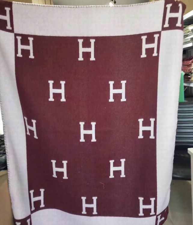 Hermes Blanket   (5)