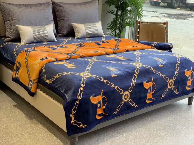 Hermes Blanket sz 200X230CM  (6)