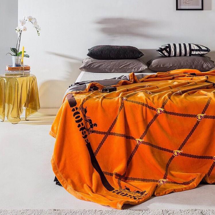 Hermes Blanket sz200X230CM (2)
