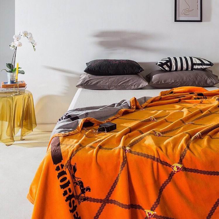 Hermes Blanket sz200X230CM (3)