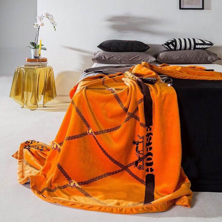Hermes Blanket sz200X230CM (5)